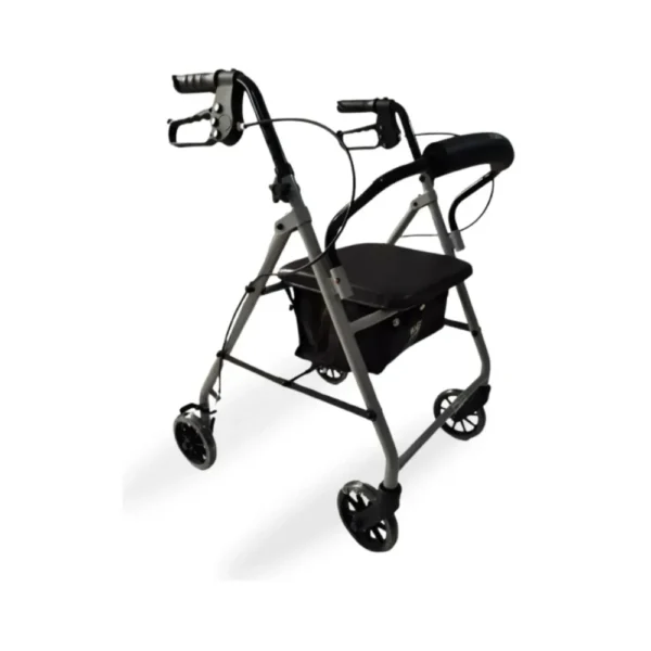 Andadera Rollator 6X1 Plata Eko