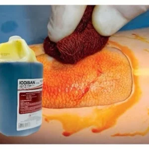 Yodo Iodisan Espuma 3.5 L Df